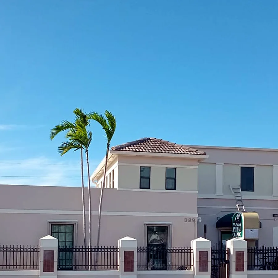 Completed exterior repaint of a commercial property in Miami